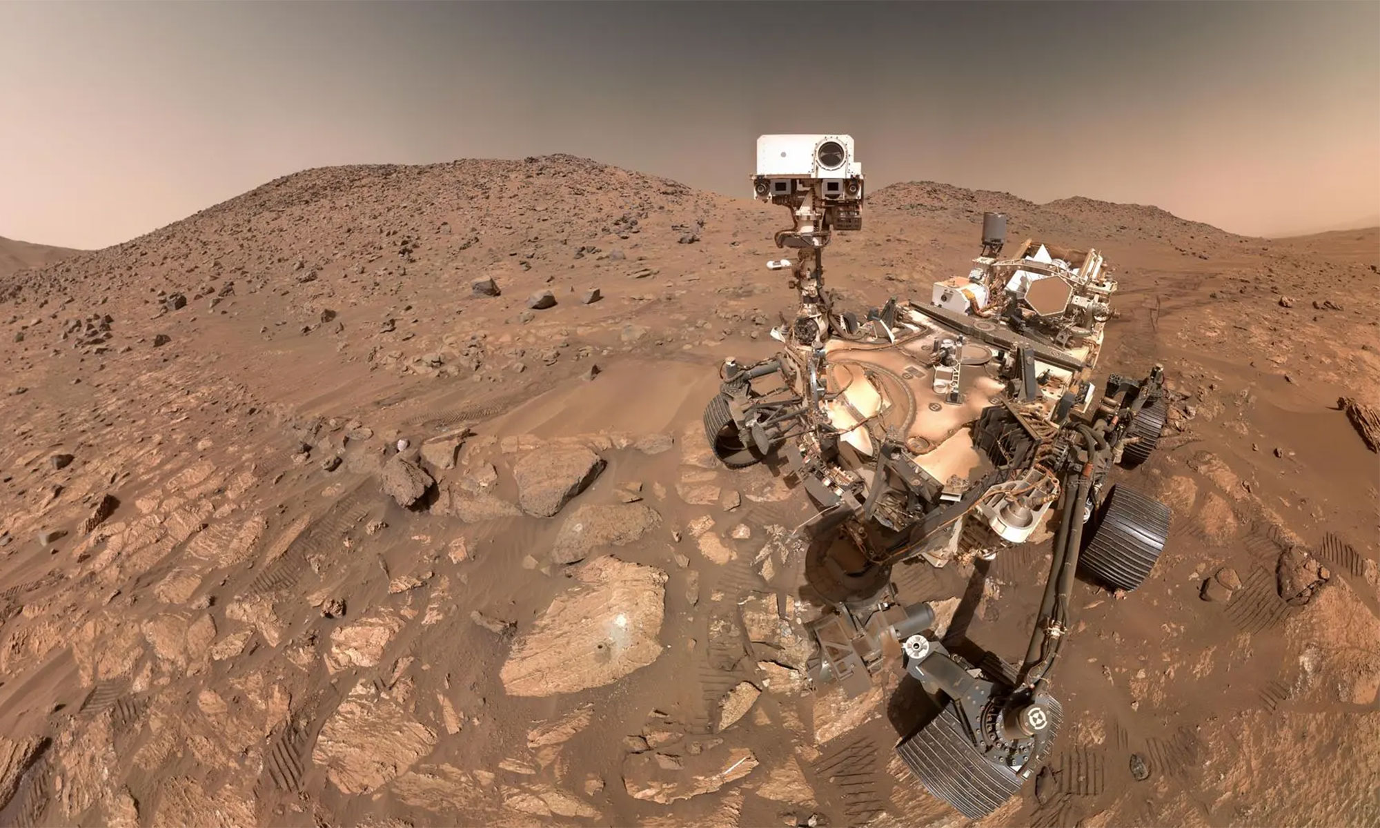 SpaceY Rover Surface Selfie
